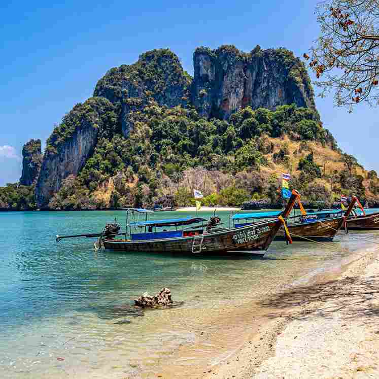 Andaman and Nicobar